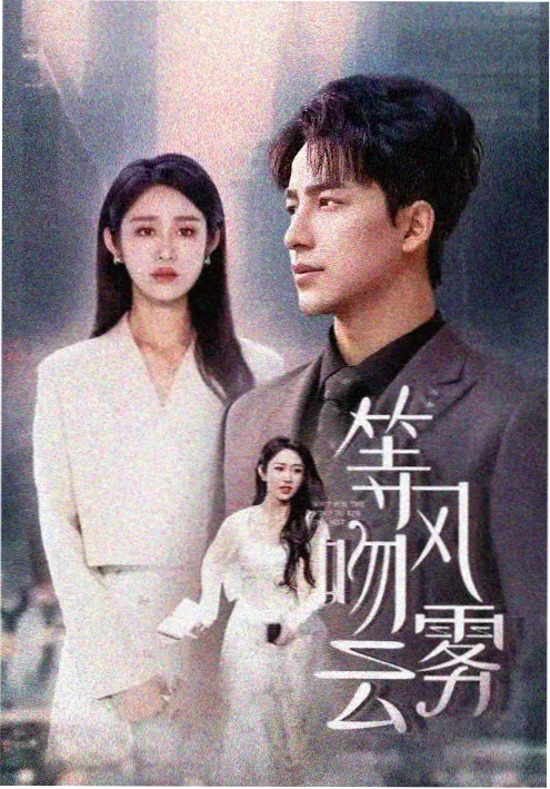 天龙影院年代剧《山海长街》更新至28集在线观看